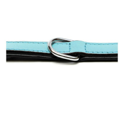 Dog collar Gloria Padded Blue (35 x 1,5 cm)