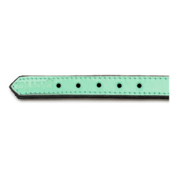 Dog collar Gloria Padded Green (35 x 1,5 cm)