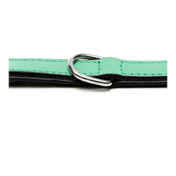 Dog collar Gloria Padded Green (35 x 1,5 cm)