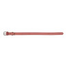 Dog collar Gloria Oasis Pink (50 x 2,1 cm)