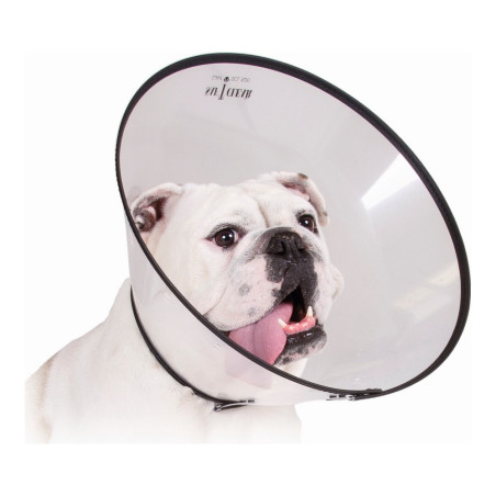 Elizabethan Dog Collar KVP Saf-T-Clear Transparent (22-43 cm)