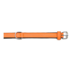 Dog collar Gloria Padded Orange (40 x 2 cm)