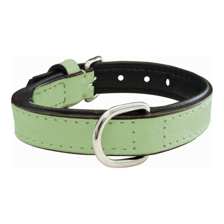 Dog collar Gloria Padded Green (40 x 2 cm)