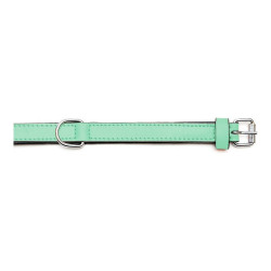 Dog collar Gloria Padded Green (40 x 2 cm)