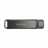 USB stick   SanDisk SDIX70N-256G-GN6NE         Black 256 GB