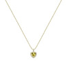 Ladies' Necklace Morellato SAVB01