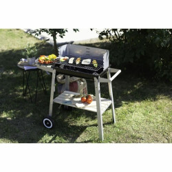 Barbecue Livoo DOC244 Steel