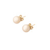 Ladies' Earrings Majorica 00326.05.1.000.701.1