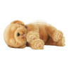 Interactive Pet Little Live Pets  Sleepy Puppy Famosa 700013210