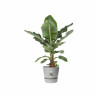 Plant pot Elho Grey Plastic Circular Modern Ø 47 cm