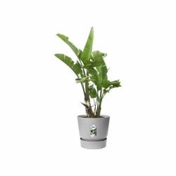 Plant pot Elho Grey Plastic Circular Modern Ø 47 cm