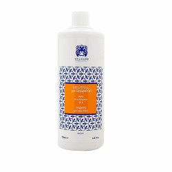 Shampoo Bassic Valquer 38218 (1000 ml)