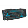 Keyboard Esperanza EGK201B Black Multicolour