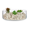 Decorative Stones 3 Kg Beige (4 Units)