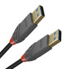 USB Cable LINDY 36752 2 m Black