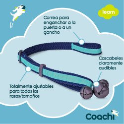 Training toy Coachi Bells Blue