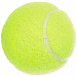 Tennis Balls Dunlop 601316 Yellow