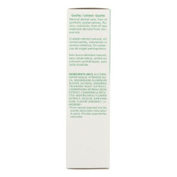 Toothpaste Oral Care Weleda (75 ml)