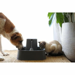 Pet Water Fountain PetSafe 7,5 L