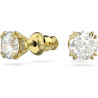 Ladies' Earrings Swarovski 5642595