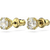 Ladies' Earrings Swarovski 5642595