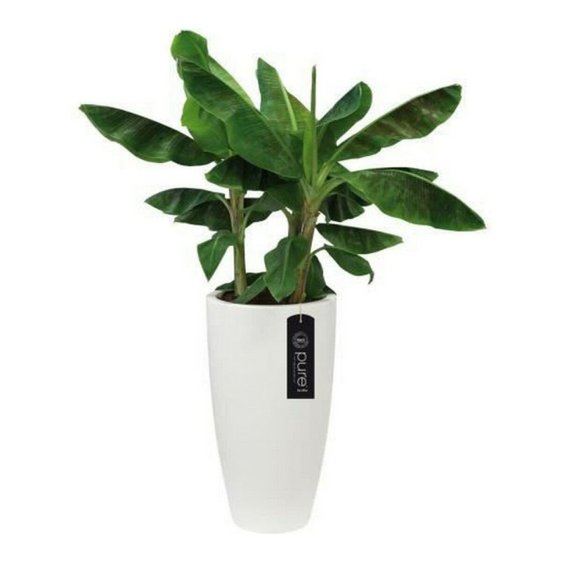 Plant pot Elho White Plastic Circular Ø 35 cm Ø 34,5 x 61,5 cm