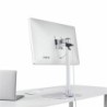 Screen Table Support Startech ARMPIVSTND