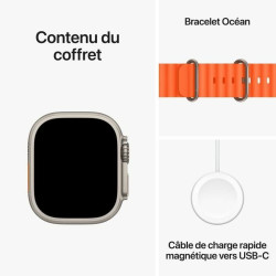 Smartwatch Apple Ultra 2 Orange Titanium 49 mm