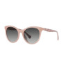 Ladies' Sunglasses Ralph Lauren RA 5294U