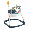 Interactive Toy Fisher Price Trotter Jumperoo Activity Center