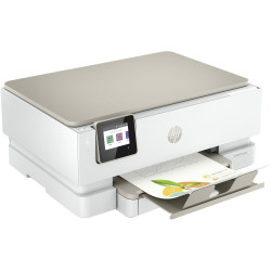 Printer HP 242P6B V2