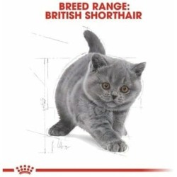 Cat food Royal Canin Rice Vegetable Birds 10 kg