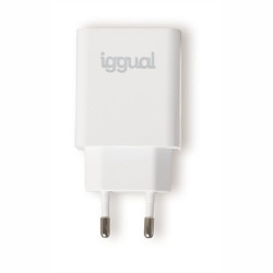 Wall Charger iggual IGG318164 20 W