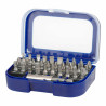 Bit set Workpro Screwdriver 31 Pieces