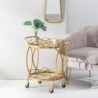 Kitchen Trolley 59 x 46 x 67 cm Crystal Golden Metal