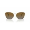 Ladies' Sunglasses Vogue VO 4279S