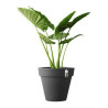 Plant pot Elho 8403604042500 Anthracite Ø 40 cm