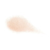 Loose Dust Shiseido Future Solution LX 10 g