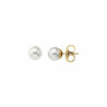 Ladies' Earrings Majorica 00323.01.1.000.701.1