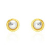 Ladies' Earrings Stroili 14009716