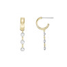 Ladies' Earrings Fossil JA7134998