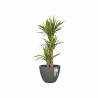 Plant pot Elho Anthracite Ø 39 cm Plastic Circular