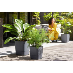 Self-watering flowerpot Elho Greensense Aqua Care Ø 38 x 38,9 cm Dark grey Squared