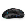 Optical Wireless Mouse Endorfy EY6A007 Black Multicolour 19000 DPI