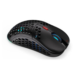 Optical Wireless Mouse Endorfy EY6A007 Black Multicolour 19000 DPI