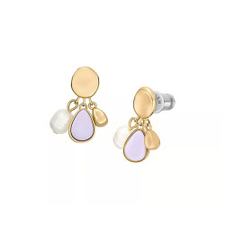 Ladies' Earrings Skagen SKJ1716710