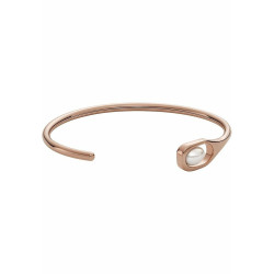 Ladies' Bracelet Skagen SKJ1748791