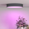 Ceiling Light Calex RGB Metal (1)