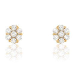 Ladies' Earrings Stroili 14011047