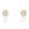 Ladies' Earrings Stroili 14011047